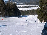 Medzinrodn preteky v zjazdovom lyovan, Tatransk liga 9.2.2005 - klikni pre detail